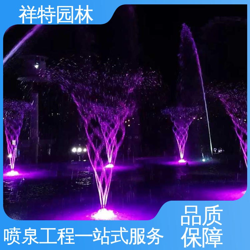 造型优美 程控喷泉 公园水景设备 款式多样 祥特园林