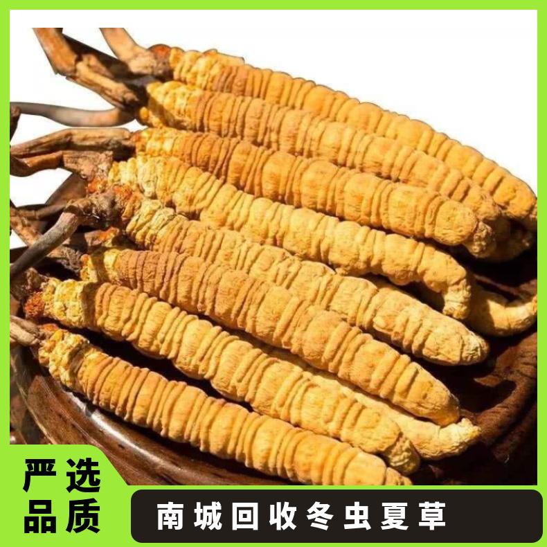南城回收冬虫夏草实体店 长期上门收购茅台酒洋酒红酒虫草燕窝