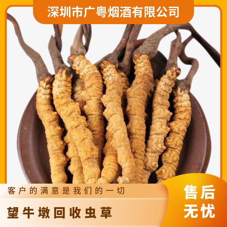 望牛墩回收冬虫夏草行情 礼盒装虫草上门收购