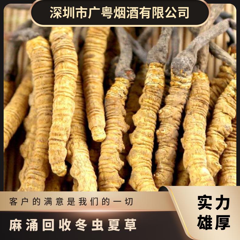 麻涌回收冬虫夏草洋酒店铺 收购茅台酒虫草燕窝红酒诚信商家