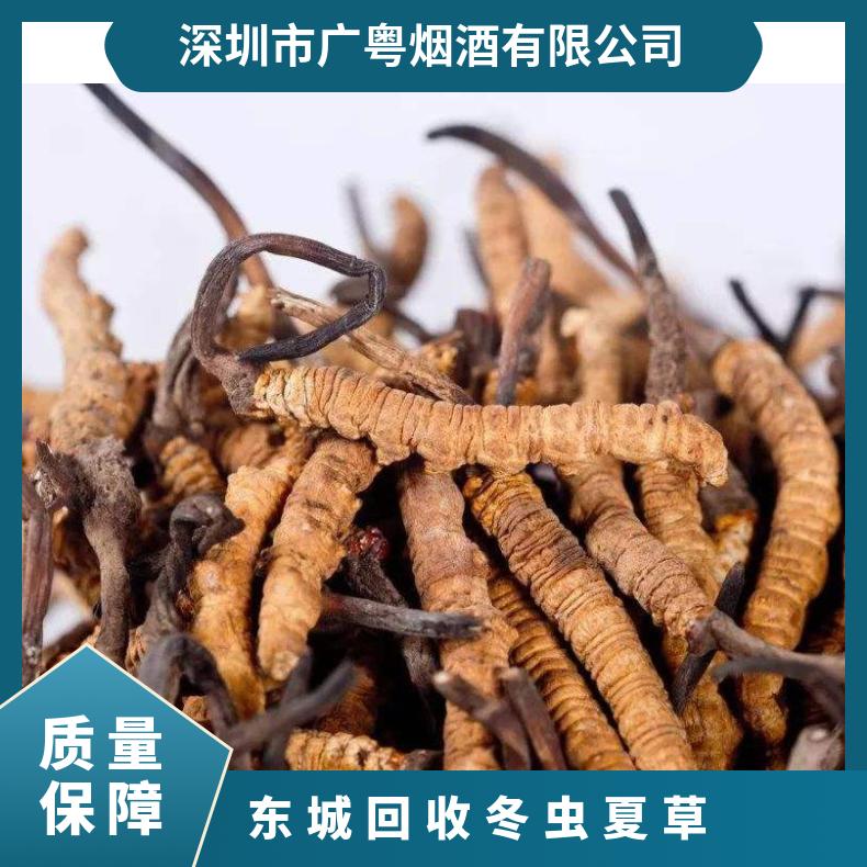 东城回收冬虫夏草诚信商行 收购冬虫夏草/虫草茅台酒洋酒红酒