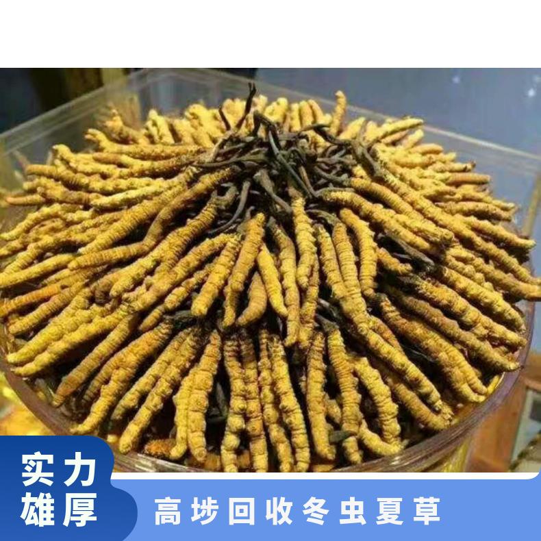 高埗回收冬虫夏草商家 上门回收虫草茅台酒洋酒红酒燕窝