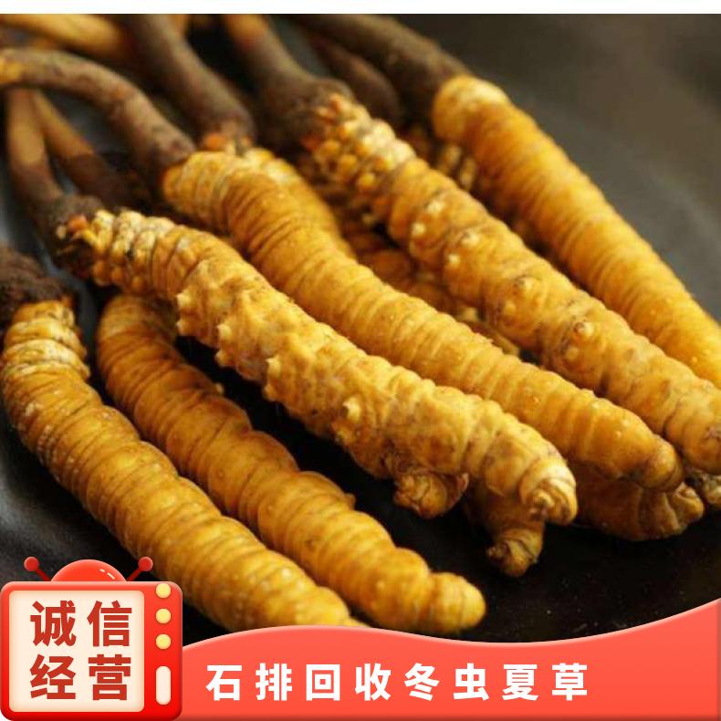 石排回收冬虫夏草上门价格 虫草回收多少钱一克 茅台酒洋酒红酒收购