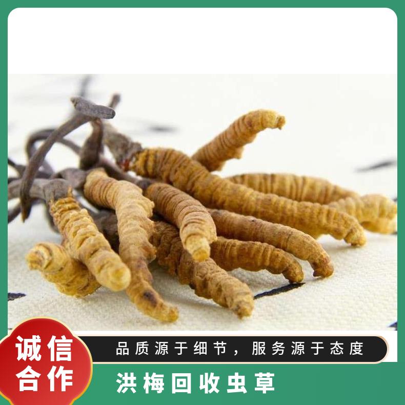 洪梅回收虫草上门商家 哪里收购茅台酒洋酒红酒燕窝等礼品