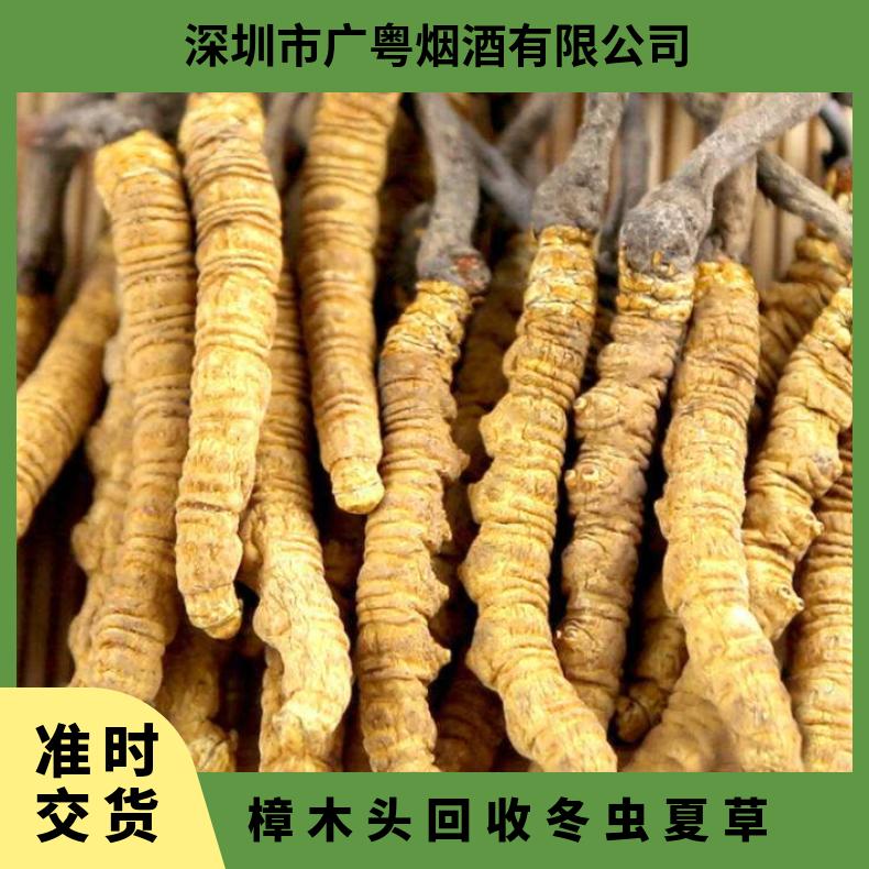 樟木头回收冬虫夏草商家免费上门 哪里收购茅台酒洋酒红酒燕窝虫草