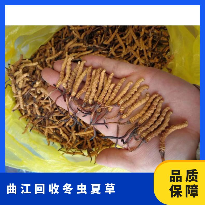 曲江回收冬虫夏草 2023年茅台酒红酒洋酒燕窝虫草回收行情