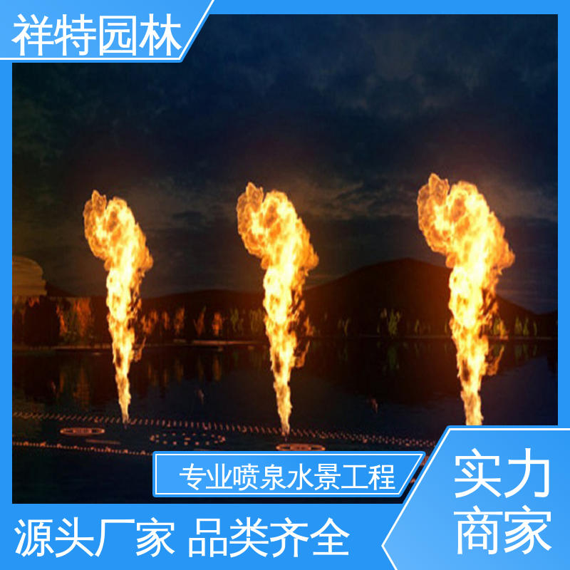 DMX512喷泉 造型优美 运行平稳 七彩灯光排列 祥特园林
