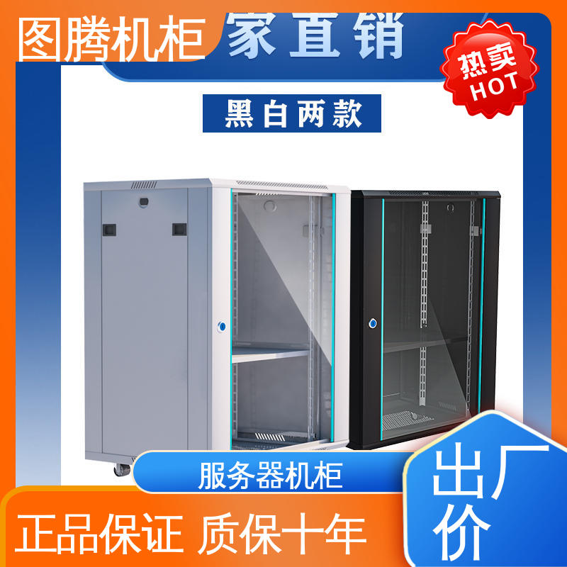机柜定制标准机柜 全国送货到家 机房设备 G38842 图腾TOTEN