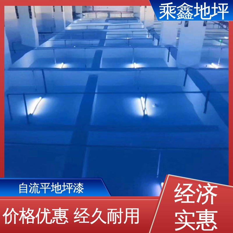 乘鑫 食品加工区 地坪漆工程 美观无接缝 质地坚实 一站式服务 性价比高
