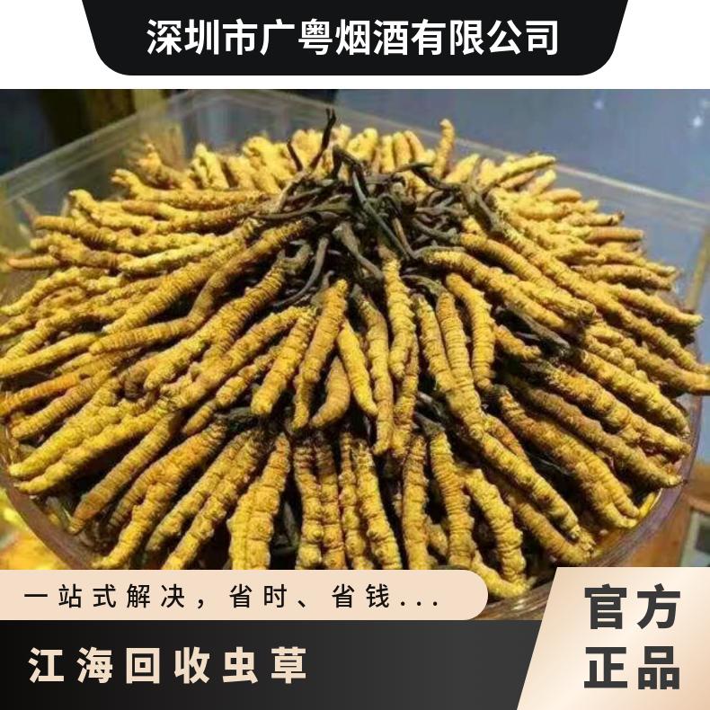 江 海回收虫草商家 长期收购冬虫夏草 发霉虫蛀 插签