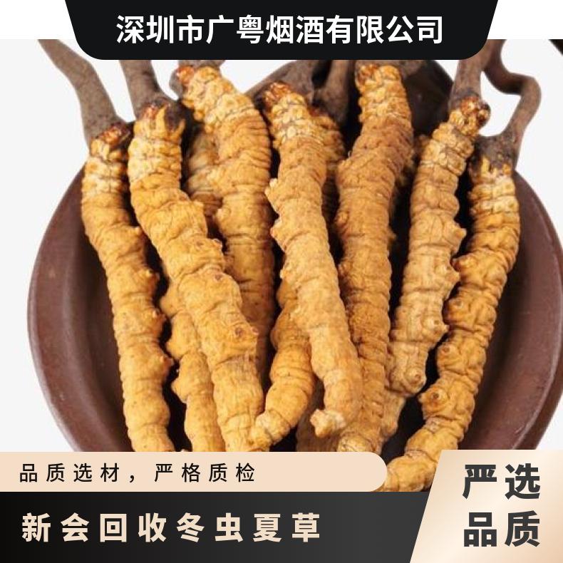 新会回收冬虫夏草价格展示 收购茅台酒洋酒红酒虫草燕窝