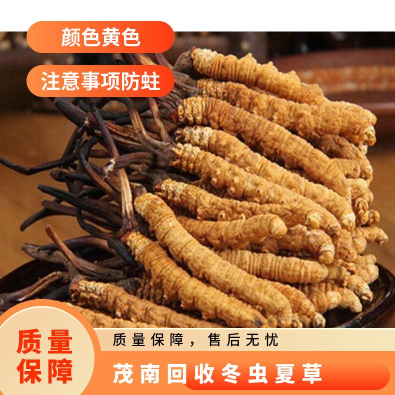 茂南回收冬虫夏草上门商家 长期收购茅台酒洋酒红酒虫草燕窝