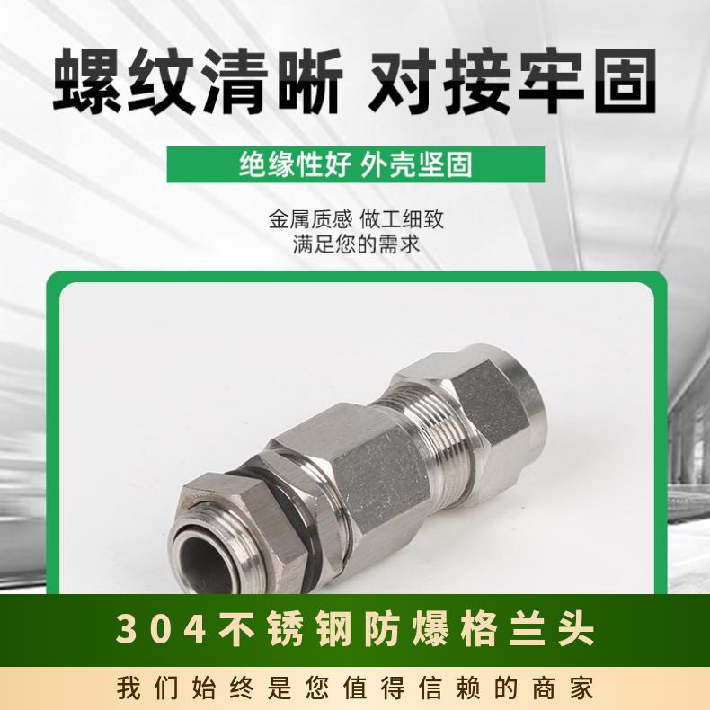 型号BDM G螺纹 防爆等级IIC 304不锈钢格兰头2.5