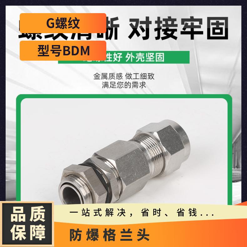 型号BDM G螺纹 防爆等级IIC 304不锈钢6分DN20格兰头3/4