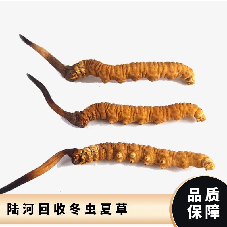陆河 冬虫夏草回收上门商家 高价收购虫草茅台酒洋酒红酒燕窝