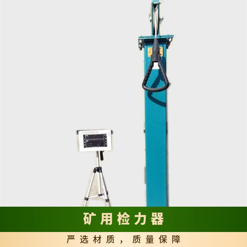 YSJ-20型检力器 砣重20kg 在待机状态可向下检测模式 不锈钢语音数显