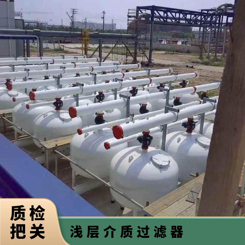 浅层砂过滤器 反冲洗旁滤装置技术参数 LJAGF48-1 励进 冷却塔砂滤器