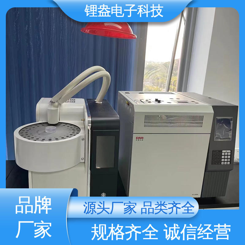 一次热解析仪 A95PD 采用加热控制保护 准确度高 锂盎电子