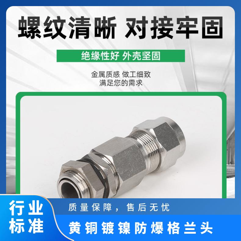 型号BDM/DQM 不锈钢 黄铜镀镍6分DN20防爆格兰头G34