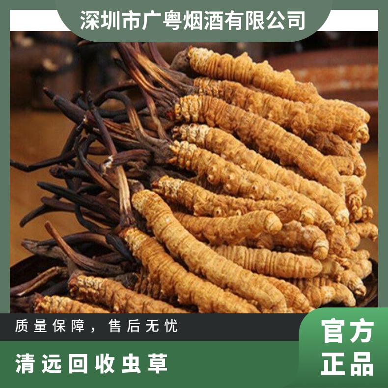 回收虫草 散装 礼盒装冬虫夏草行情 收购茅台酒洋酒红酒燕窝