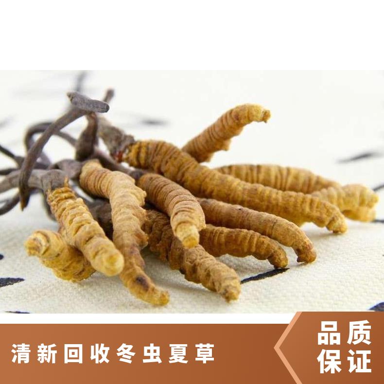 回收冬虫夏草诚信商行 附近收购虫草燕窝海参茅台酒洋酒