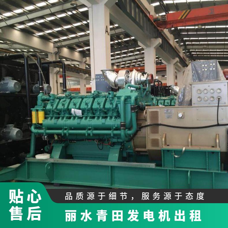 丽 水青 田大型节能型发电机租赁 负载箱出租 用于工程建设 应急发电车