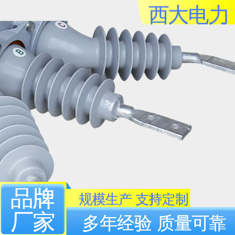 西大电力 安装方便 操作简单 看门狗智能真空断路器 ZW20-12F/630