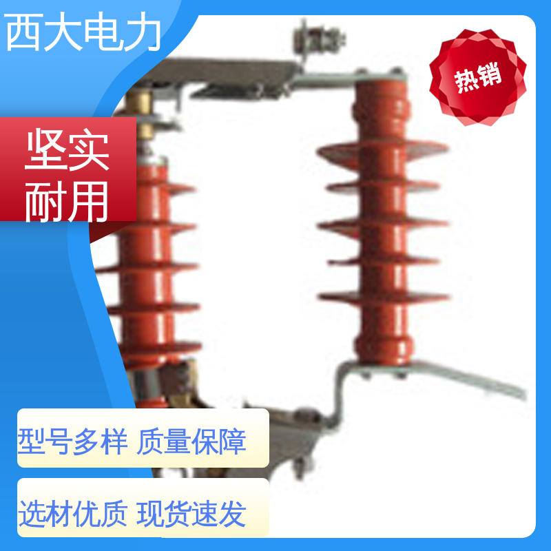 西大电力 安全稳定 支持定制 HY5WS-17 高压跌落式防雷器