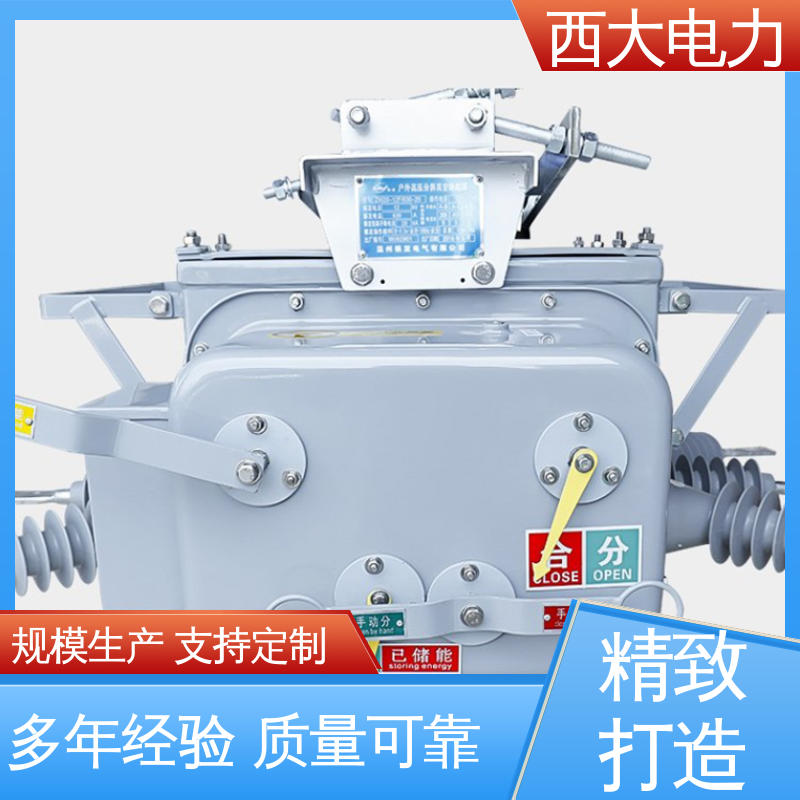 ZW20-12F/630 型号和资质齐全 户外柱上真空断路器 西大电力