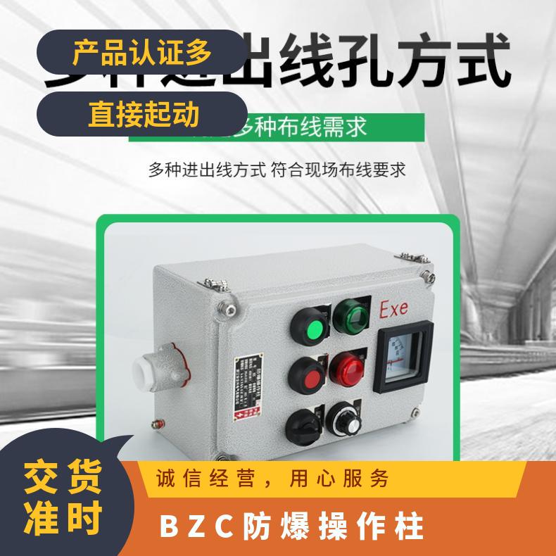 防护等级IP65 两灯钮 铸铝 工程塑料 BZC防爆操作柱一10A