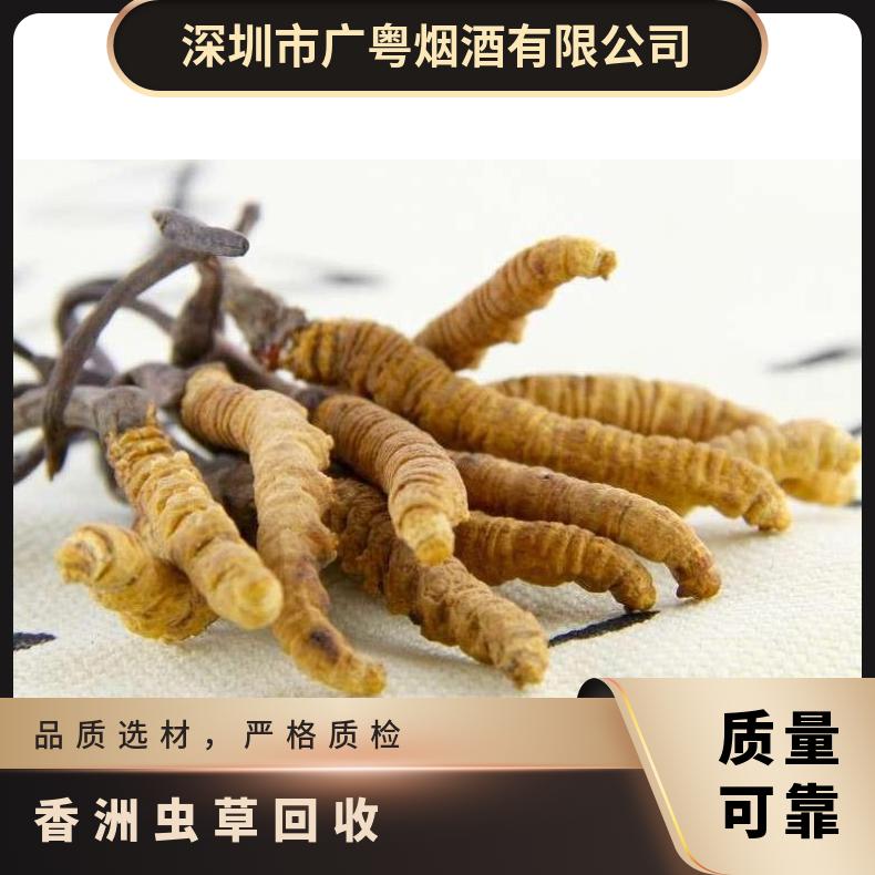 香洲虫草回收 长期高价上门收购礼盒装冬虫夏草商家上门地址