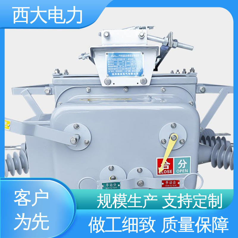 西大电力 ZW20-12F/630 高压真空断路器 型号和资质齐全