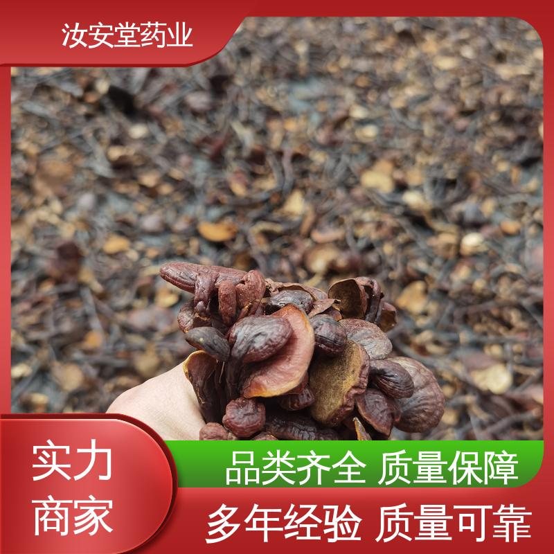 中药材菟丝子 白芷 菊花 白鲜皮批发 厂家供应 汝安堂
