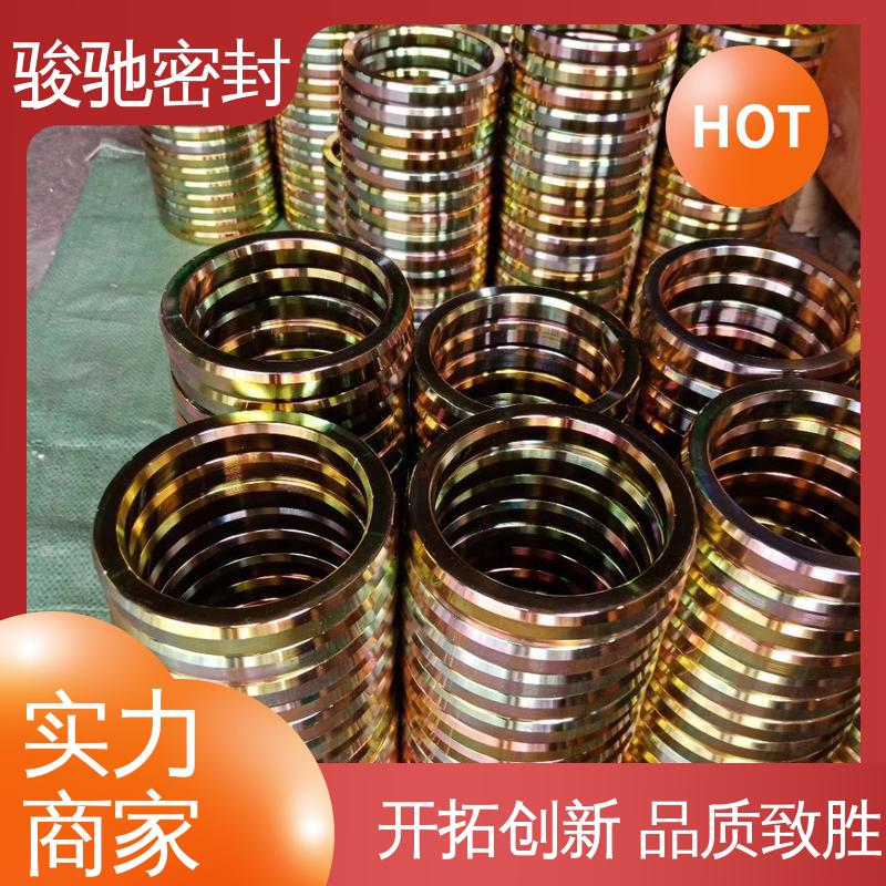 厂家供应 环形八角垫 化工管道用 高压不变形 骏驰密封