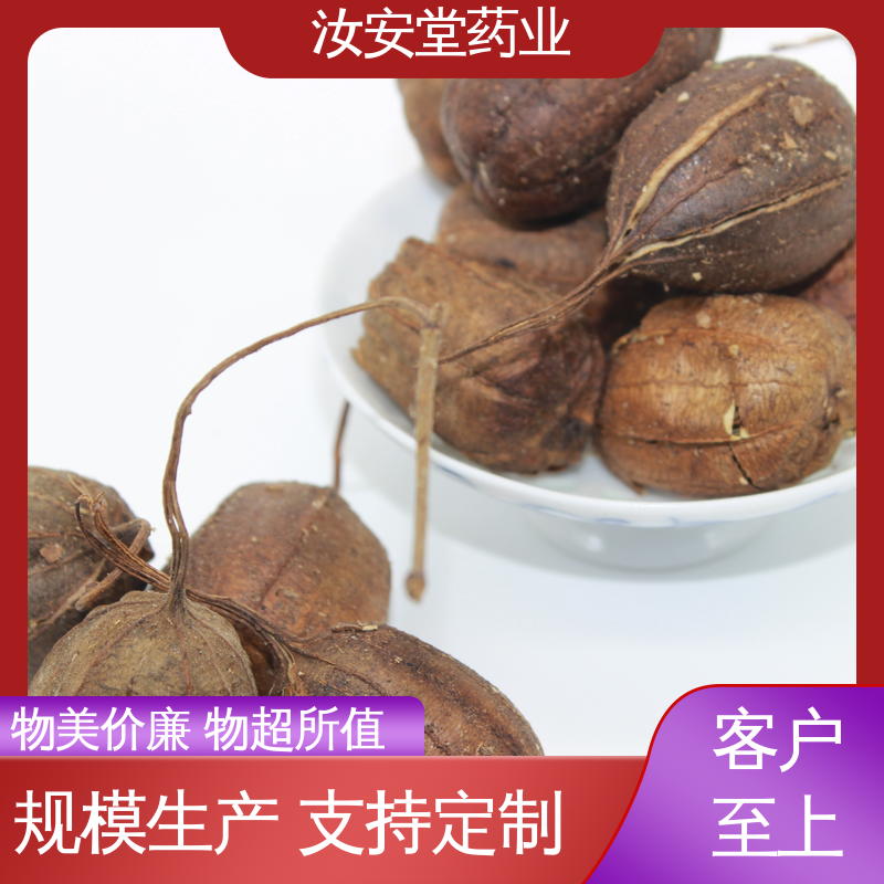 提供种植技术 整车发货 中药材苍耳子 金钱草 紫苏叶批发 汝安堂