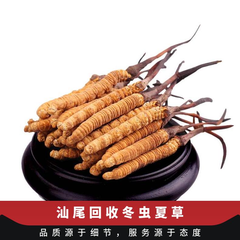 散装礼盒装 克 炖肉 冷藏 否 当面验货 防蛀 长期 回收冬虫夏草