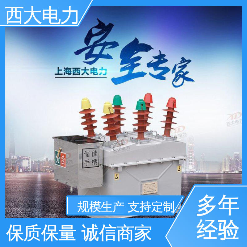 外形美观 做工细致 ZW8-12FG 10KV户外高压真空断路器 西大电力