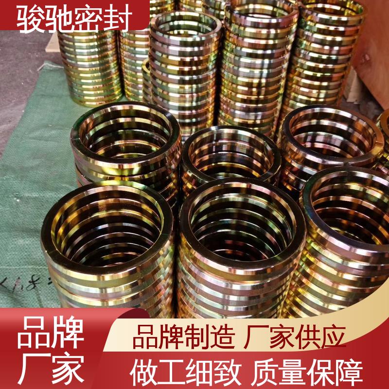 椭圆八角垫 垫片系列 发电行业专用 厂家供应 骏驰密封