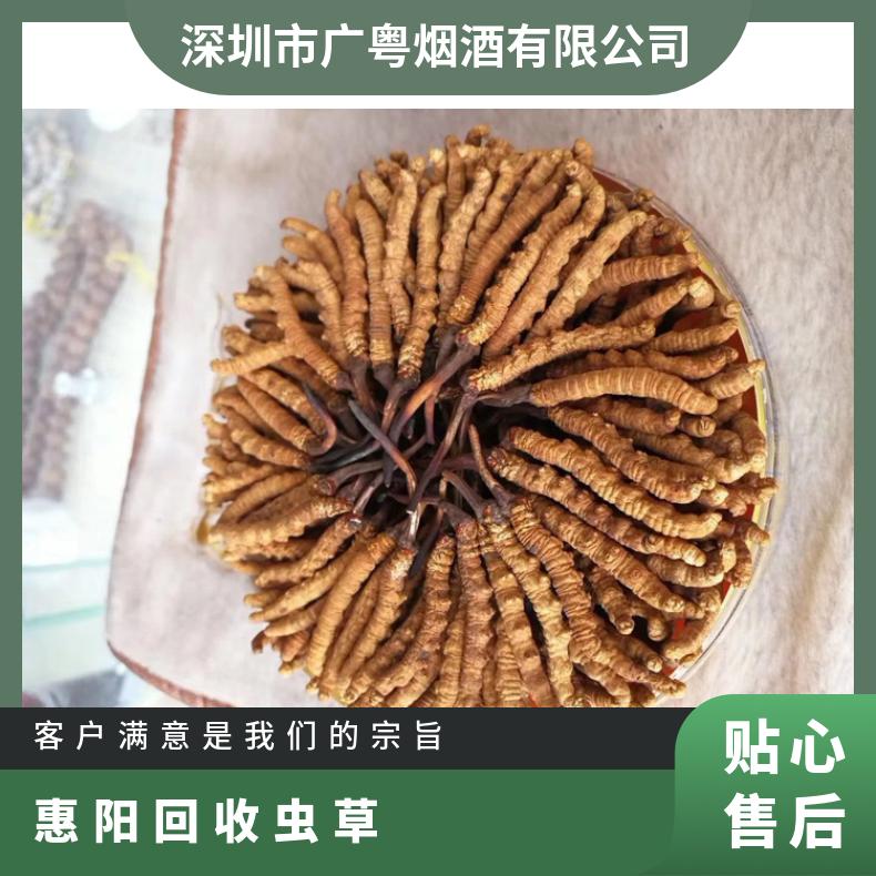 惠阳回收虫草商家上门地址 惠州哪里收购冬虫夏草价格高