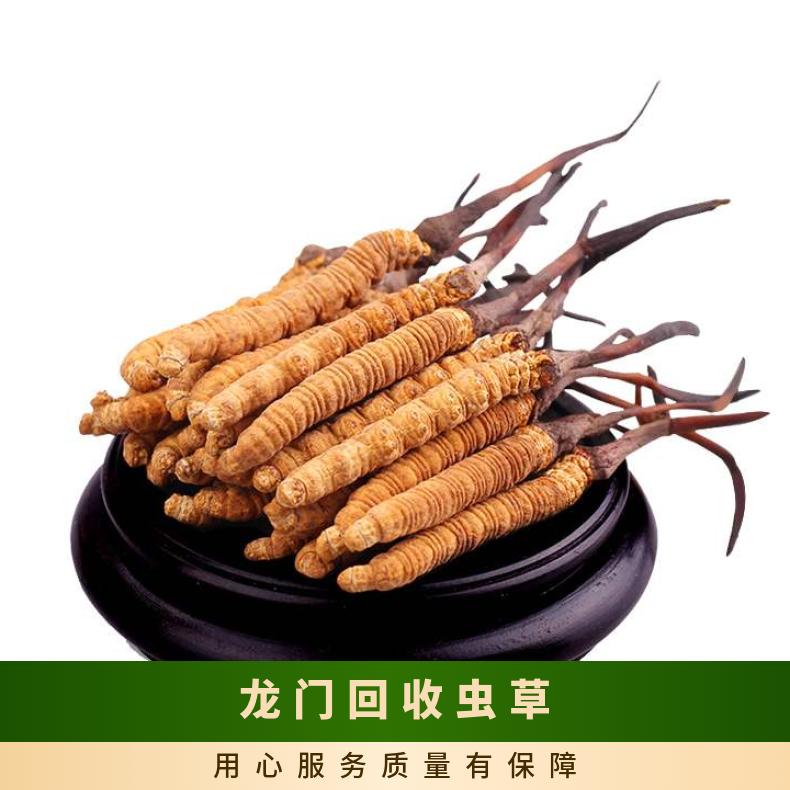 龙门回收虫草礼盒装 散装3000条冬虫夏草收购行情