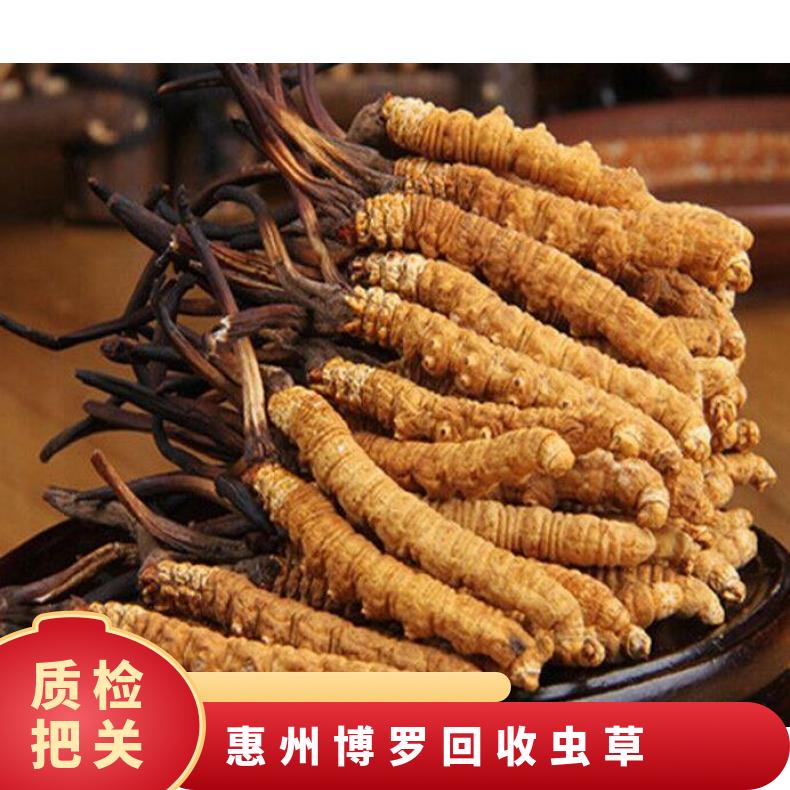 惠州博罗回收虫草礼盒装 惠阳散装冬虫夏草收购价格行情