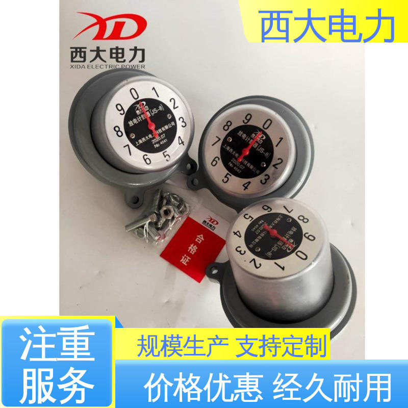 JS-8 轻巧耐用 安装灵活 避雷器放电计数器测试仪 西大电力