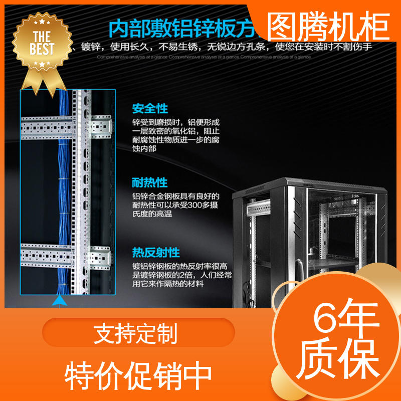 图腾TOTEN 标准19英寸 机房机柜 G26842 支持定制