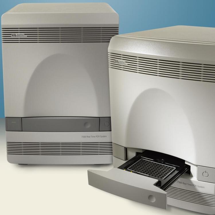 赛默飞7500荧光定量PCR仪平价进口