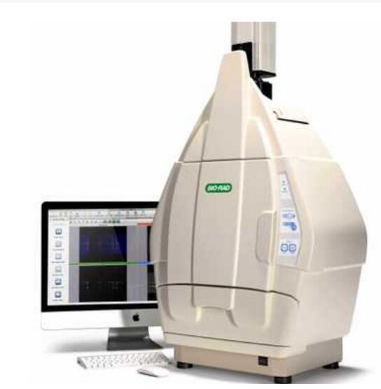 伯乐Bio-Rad ChemiDoc XRS凝胶成像1708265