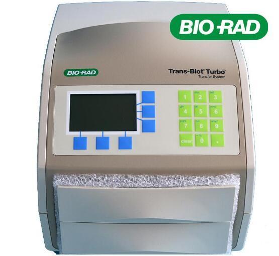 1704150 伯乐全能型蛋白转印系统Trans-Blot Turbo1704150