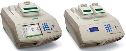 美国Bio-rad伯乐C1000梯度PCR仪双模块C1000PCR仪