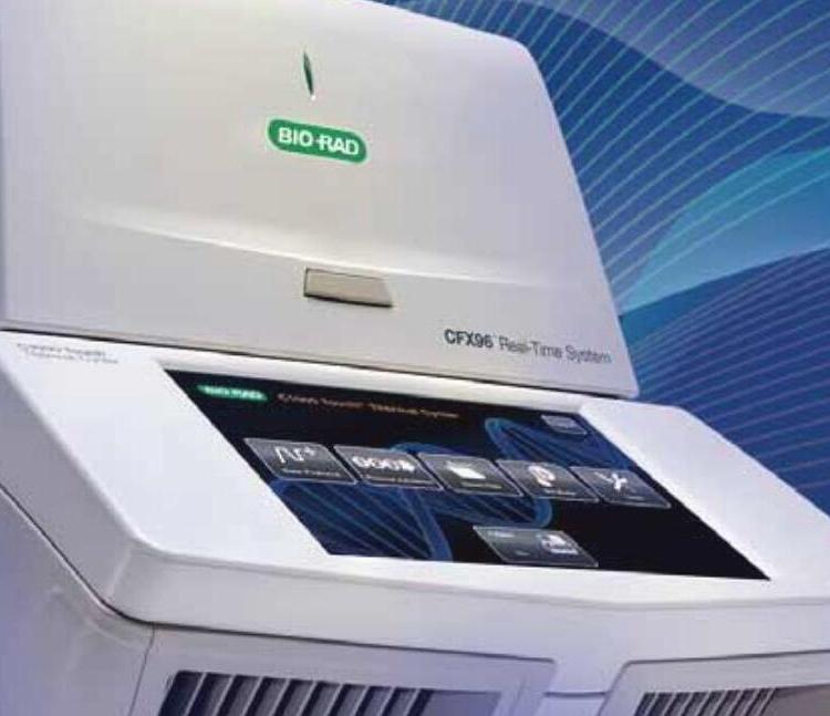 Bio-rad伯乐CFX96 Touch荧光定量PCR仪进口