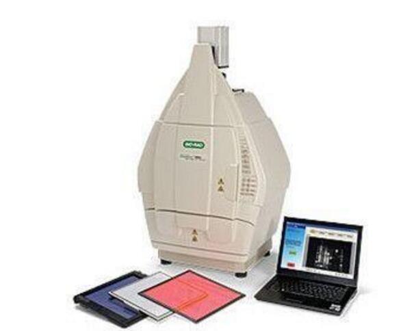 美国BIO-RAD伯乐Gel Doc XR+凝胶成像系统