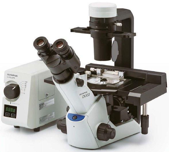 olympus奥林巴斯CKX53三目倒置荧光显微镜
